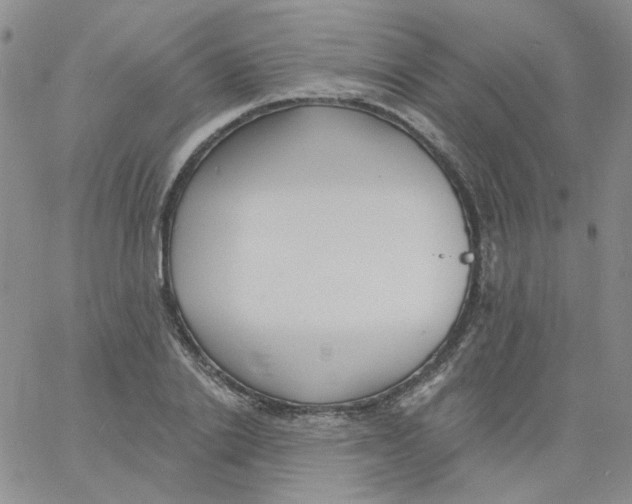 X0000060740838200512081916