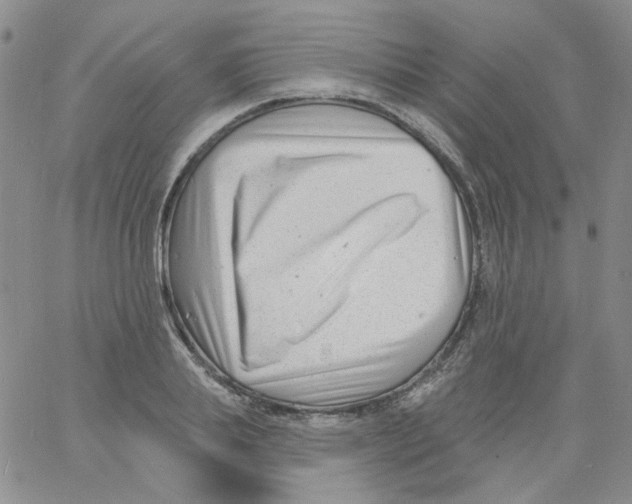 X0000060740839200512081916