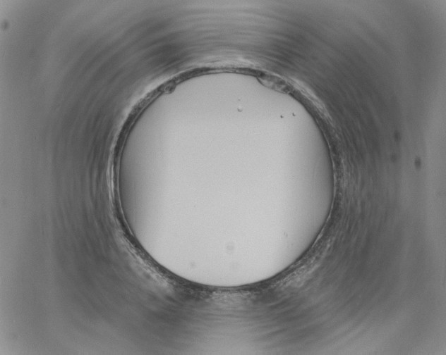 X0000060740840200512081916