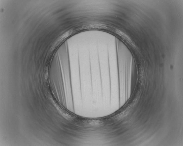 X0000060740841200512081916