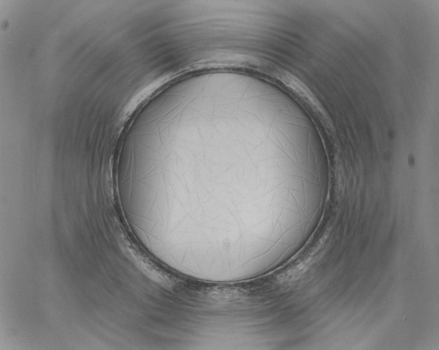 X0000060740842200512081916