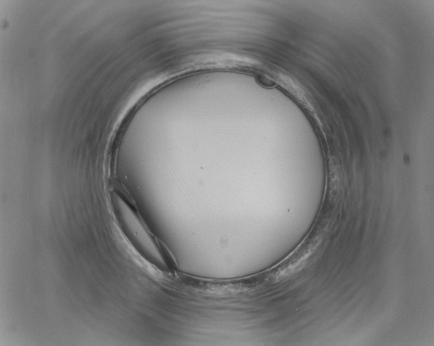 X0000060740843200512081916