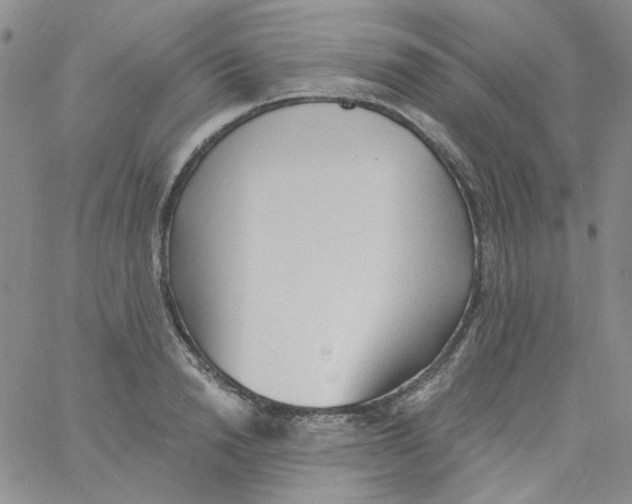 X0000060740846200512081916