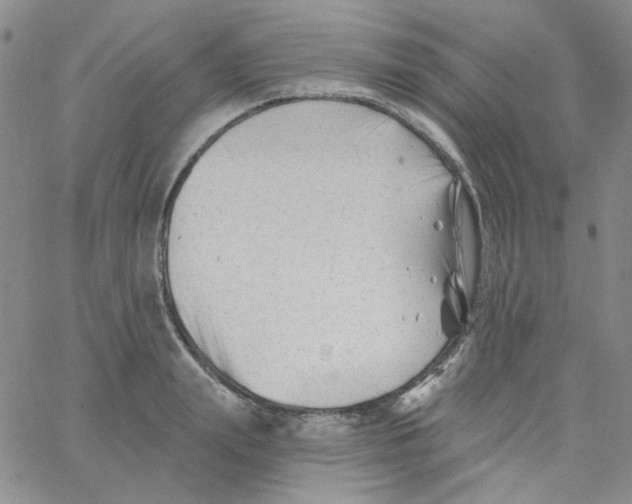 X0000060740847200512081916