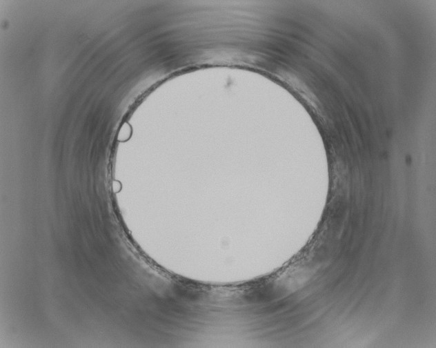 X0000060740848200512081916