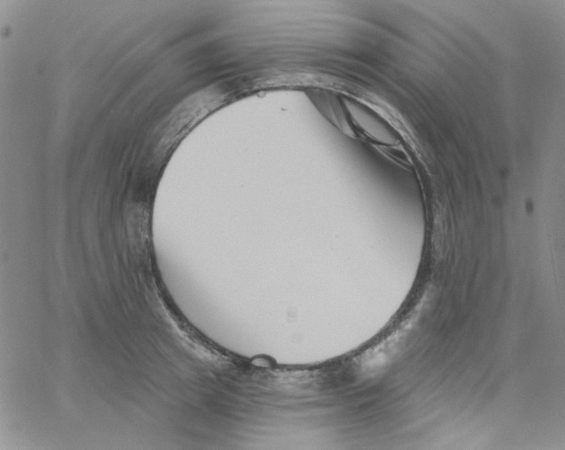 X0000060740849200512081916