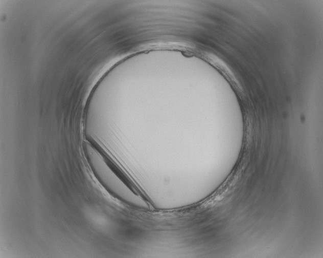 X0000060740852200512081916