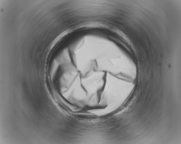 X0000060740853200512081916