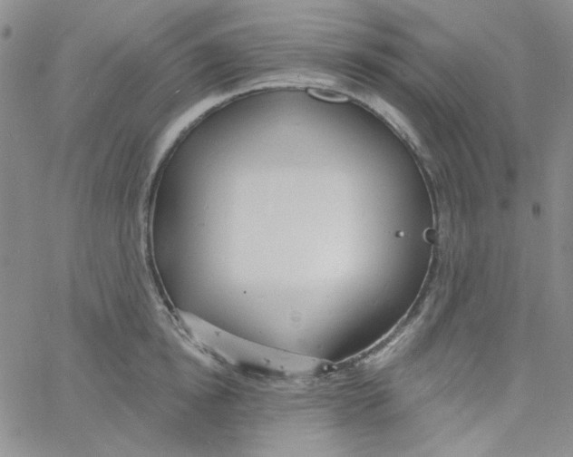 X0000060740854200512081916