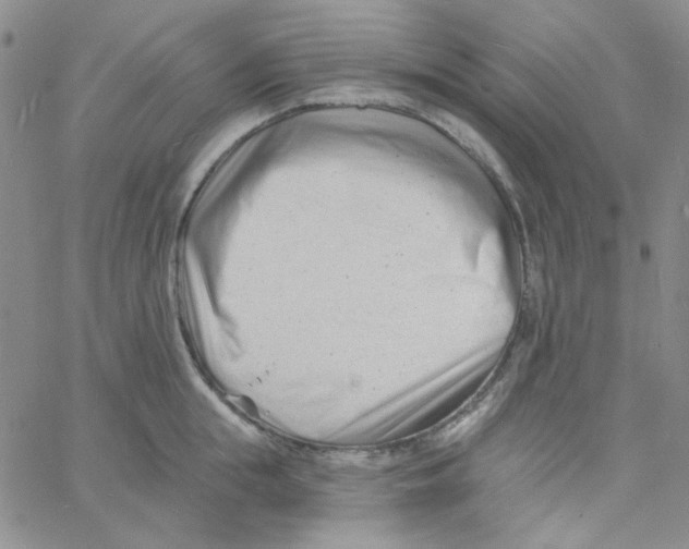 X0000060740855200512081916