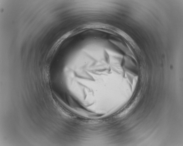 X0000060740857200512081916