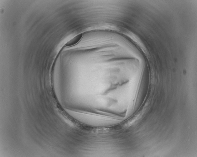 X0000060740858200512081916