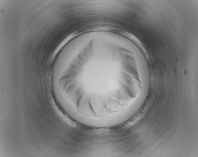 X0000060740859200512081916