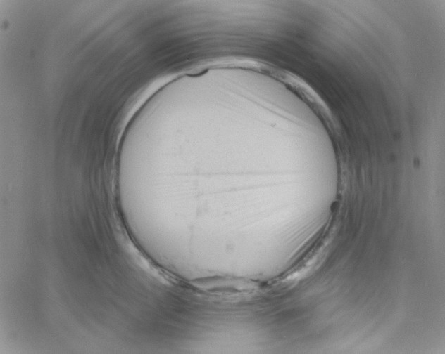 X0000060740860200512081916