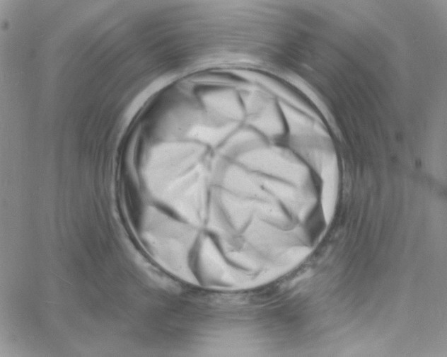 X0000060740861200512081916