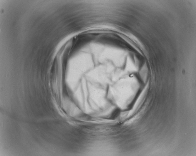 X0000060740862200512081916