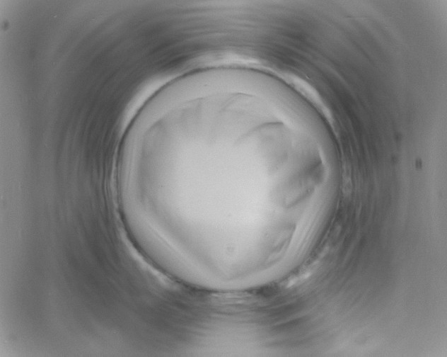 X0000060740863200512081916