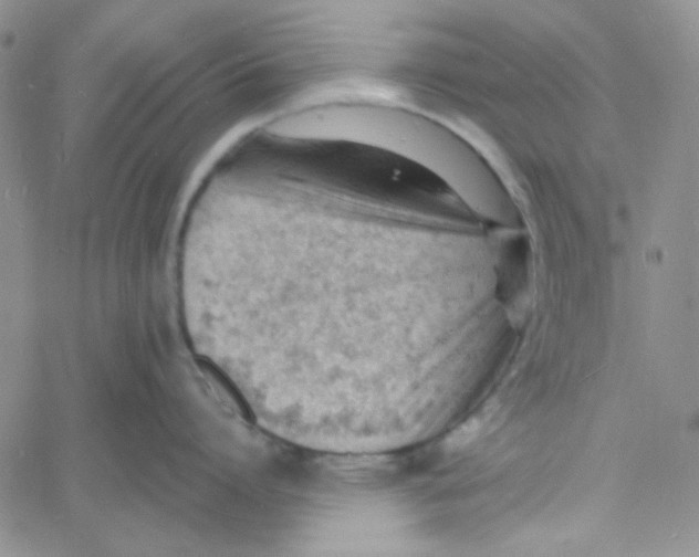 X0000060740864200512081916