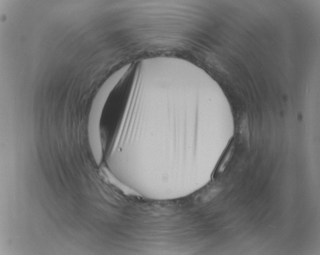 X0000060740868200512081915