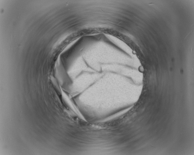 X0000060740871200512081915