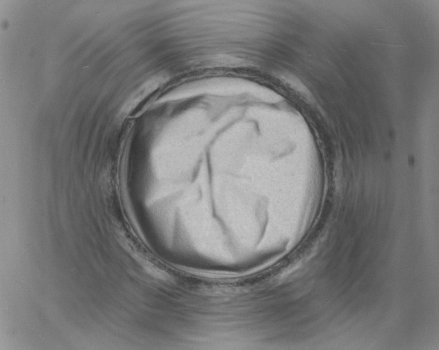 X0000060740873200512081915