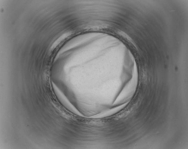 X0000060740874200512081915