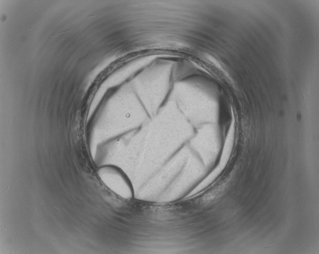 X0000060740875200512081915