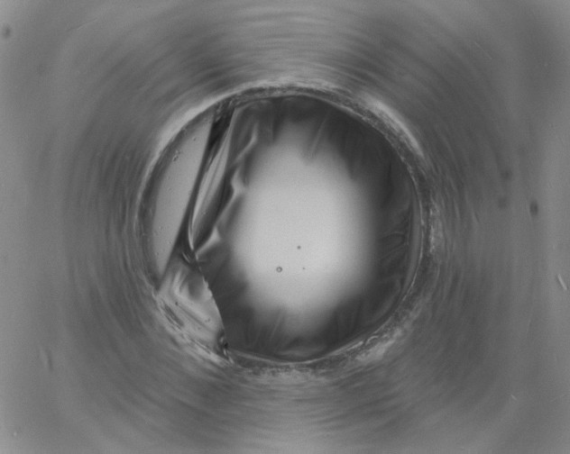 X0000060740876200512081915