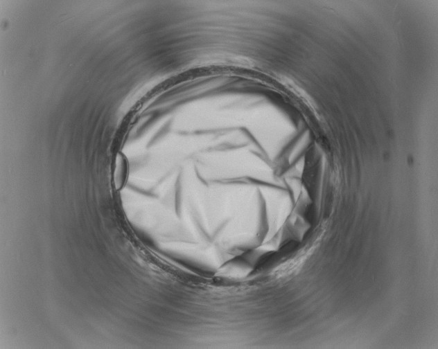 X0000060740877200512081915