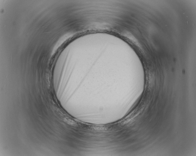 X0000060740878200512081915