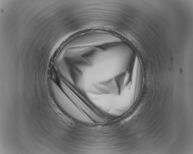 X0000060740880200512081915