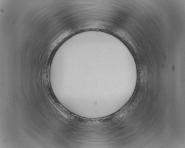 X0000060740882200512081915