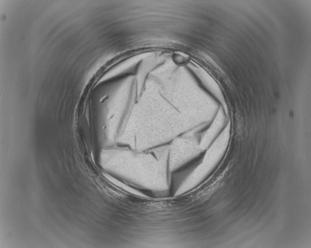 X0000060740883200512081915