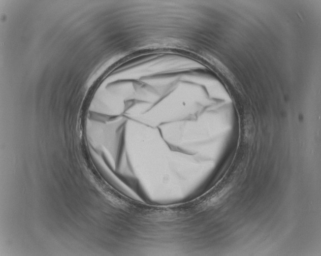 X0000060740885200512081915