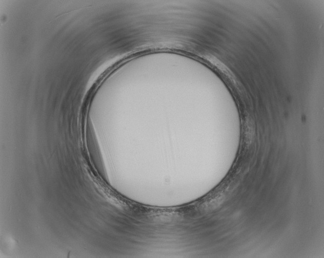 X0000060740886200512081915