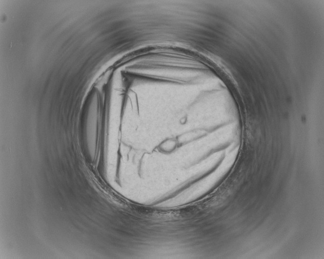 X0000060740887200512081915