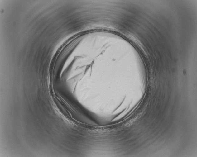 X0000060740888200512081915