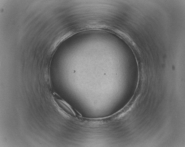 X0000060740889200512081915