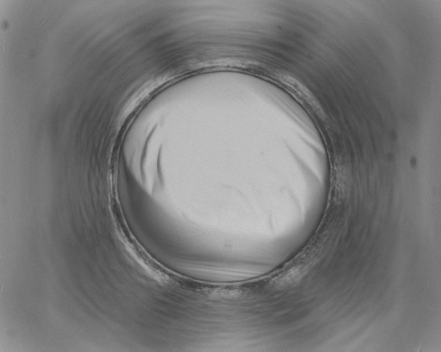 X0000060740890200512081915