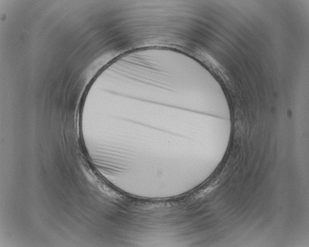 X0000060740892200512081915