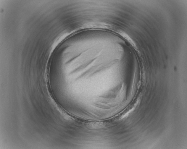 X0000060740893200512081915