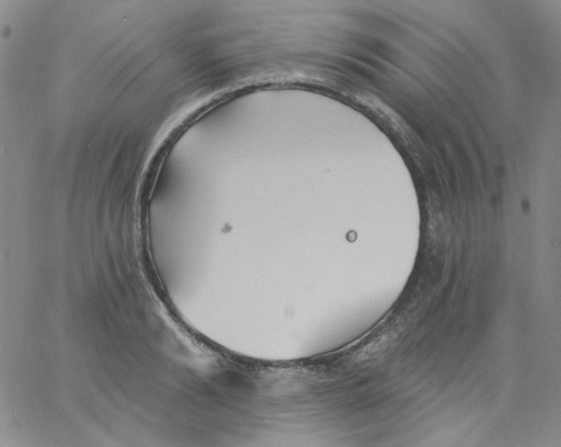 X0000060740894200512081915