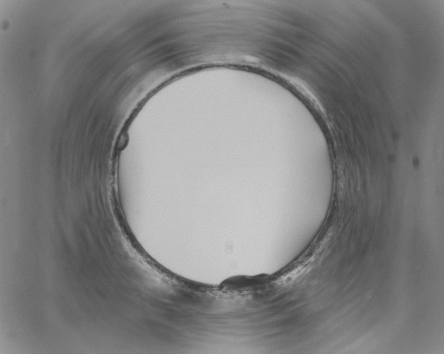 X0000060740895200512081915