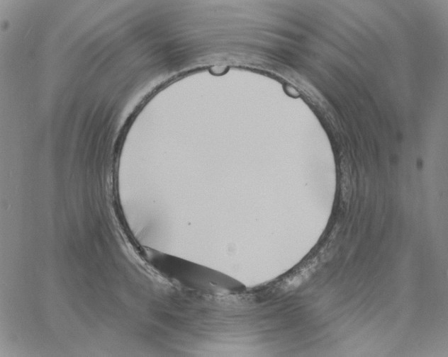 X0000060740896200512081915