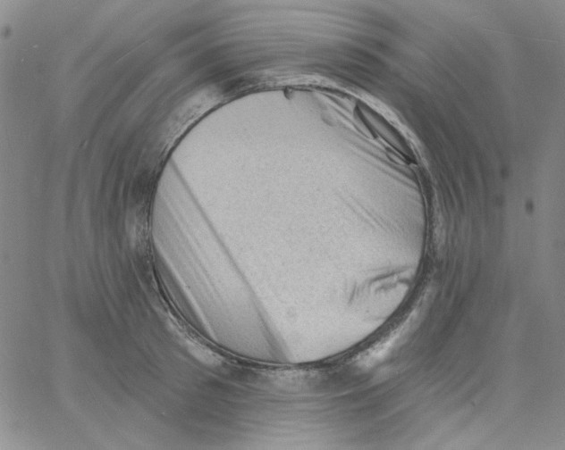 X0000060740897200512081915