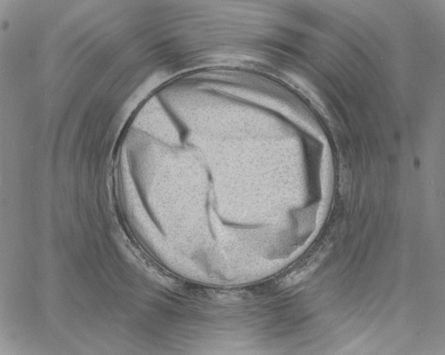 X0000060740899200512081915