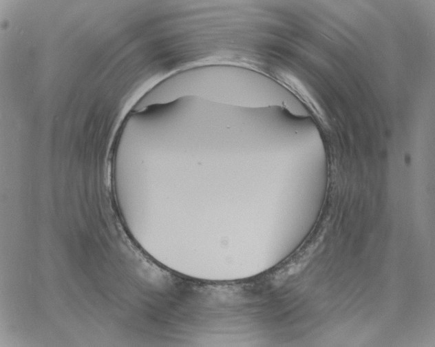 X0000060740900200512081915