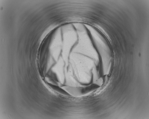 X0000060740901200512081915