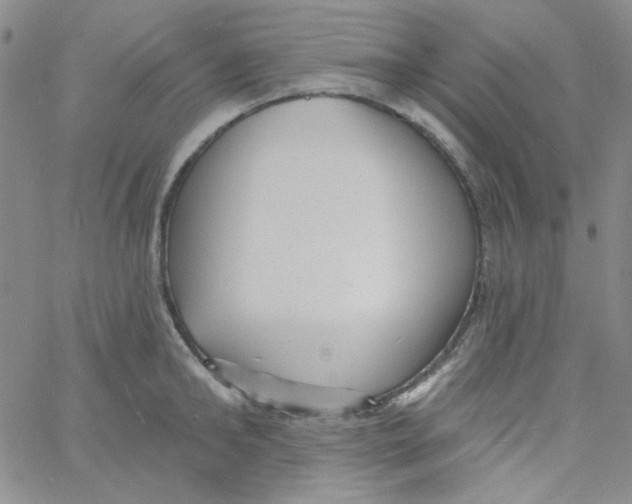 X0000060740902200512081915