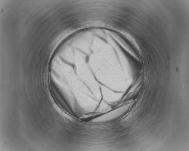 X0000060740903200512081915